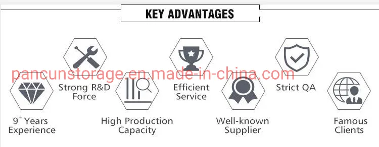 Factroy Brand Hard Drive -40 to 85 Wide Temperature 2.5inch SSD Price 128GB PATA Ssds SSD Disk SLC