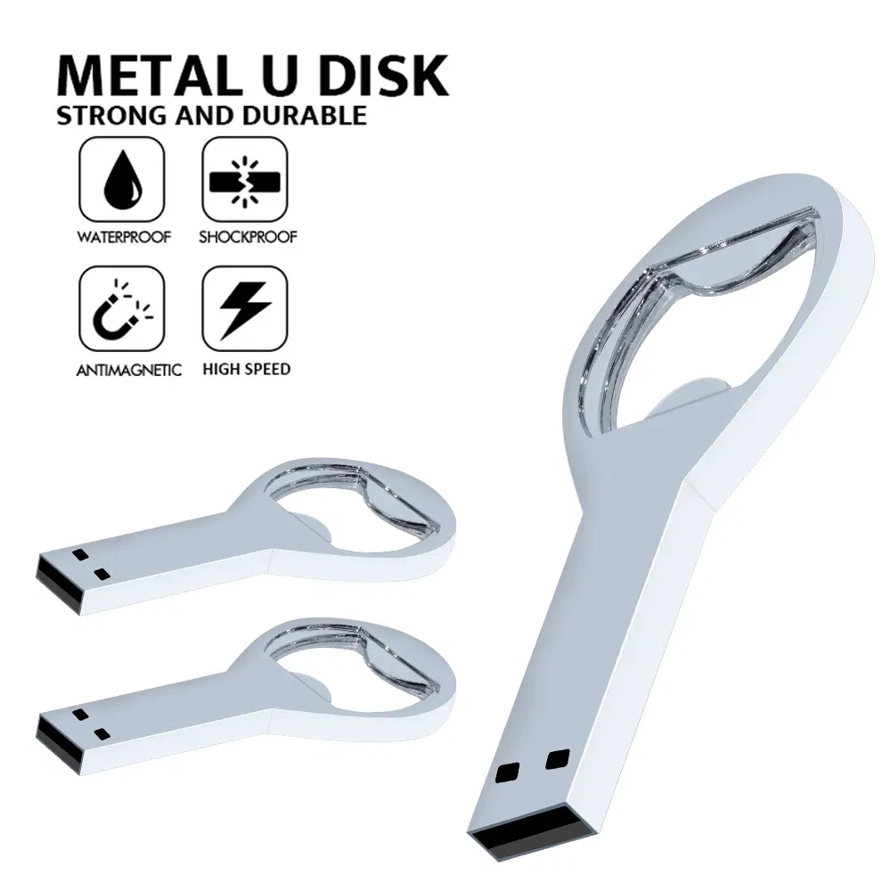 Metal USB Flash Drives USD2.0 Pendrives Memory Stick High-Speed Pen Drive USB Disk