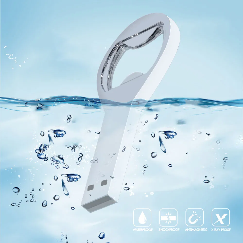 Metal USB Flash Drives USD2.0 Pendrives Memory Stick High-Speed Pen Drive USB Disk