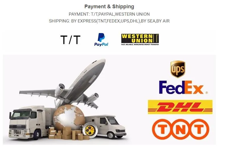 Multi Color Push and Pull Plastic USB Flash Drive Promotional Gift Customized Logo Pen Drive/USB Pen Drive