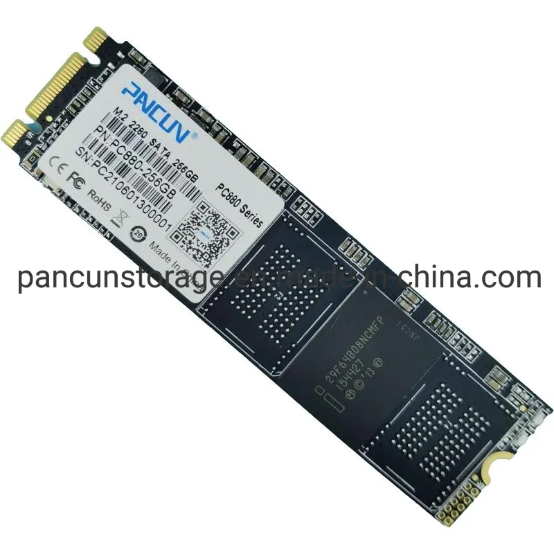Pancun Manufacturer 256GB with Cache 3D Nand Tlc M.2 2280 SATA III 6GB/S Internal Solid State Drive SSD (Read/Write Speed up to 500/400 MB/s) Compatible with La