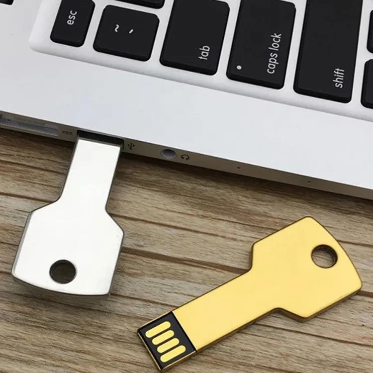 Portable USB Key Flash Drive 8GB 16GB USB2.0 3.0 with Custom Logo