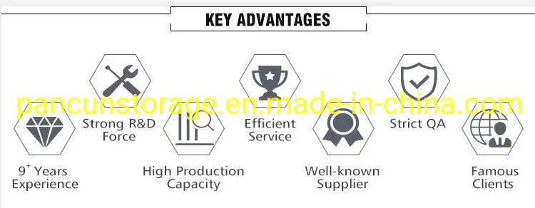 SSD M2 Ngff 120GB 240GB 512GB 1tb M. 2 SATA for Laptop and Desktop