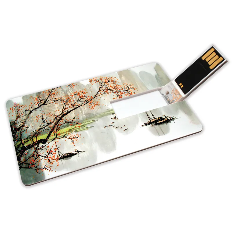 Wholesale Customize Logo Metal Credit Card Shape USB Memory Stick USB Flash Plastic Wafer USB